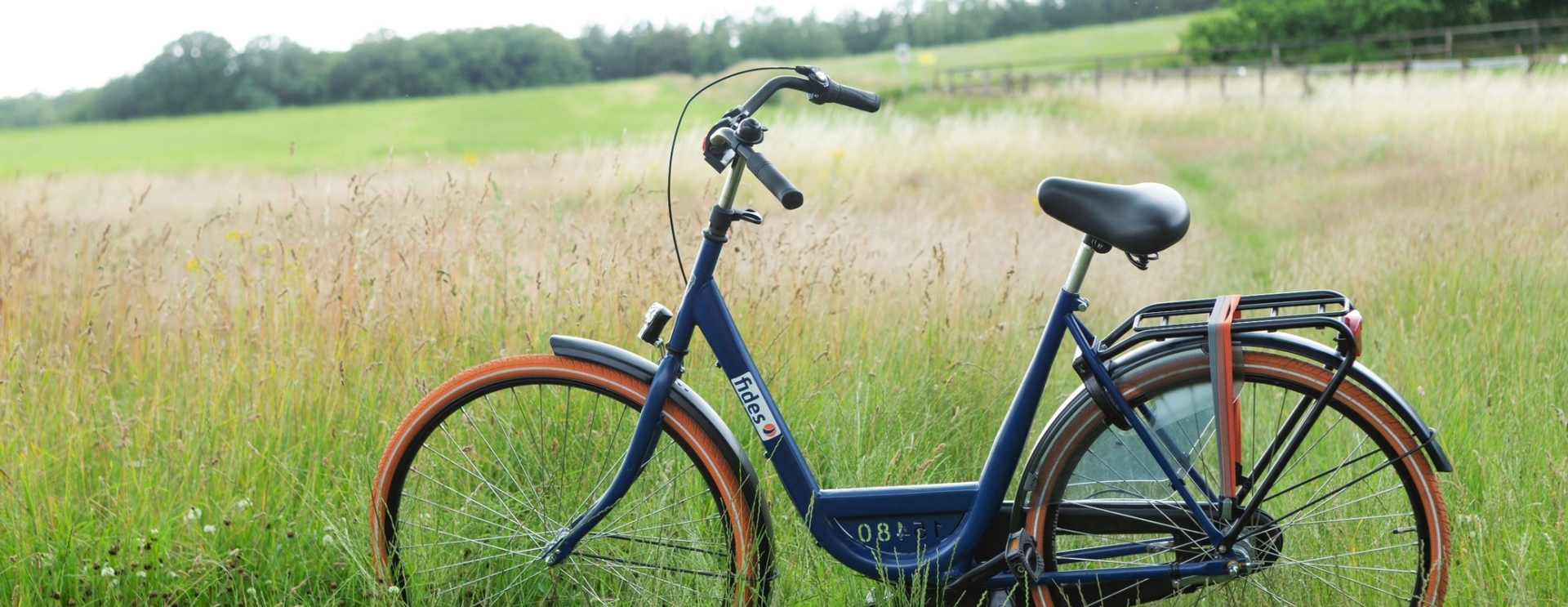 De reis naar Nederland